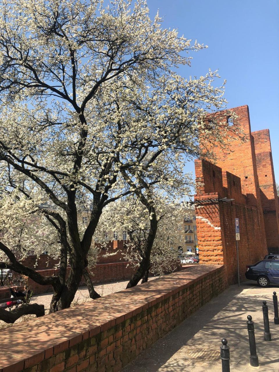 Designers Apartment In The Old Town Βαρσοβία Εξωτερικό φωτογραφία